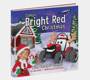 Media Name: caseys_bright_red_christmas_3d_web.png