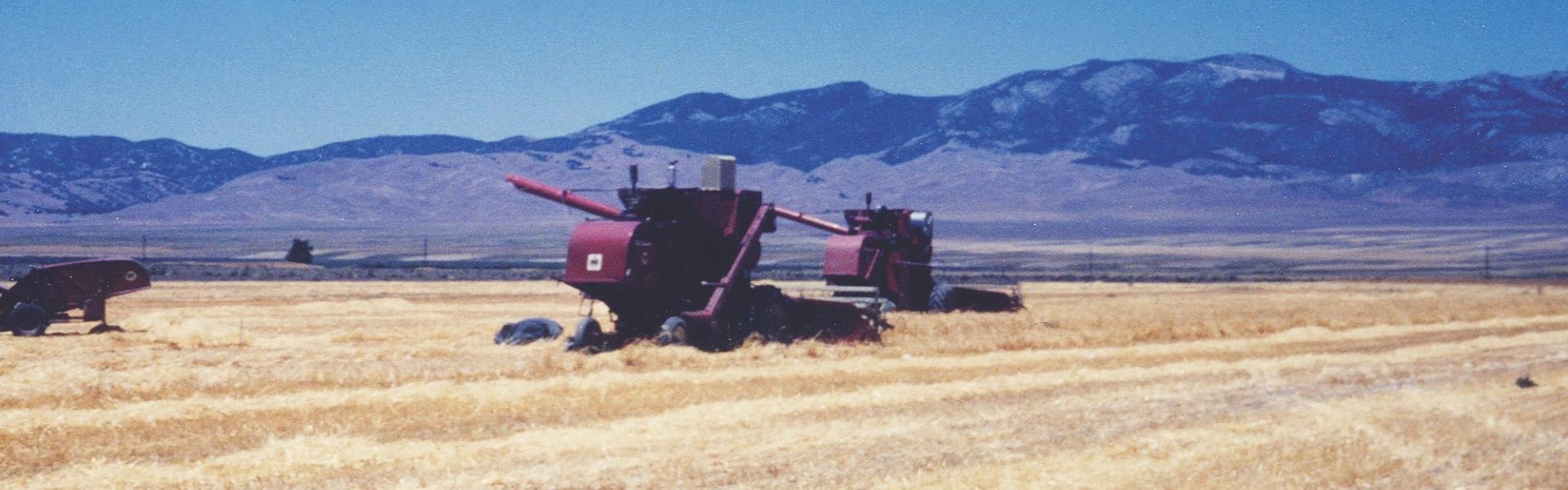 1960s combine in a field